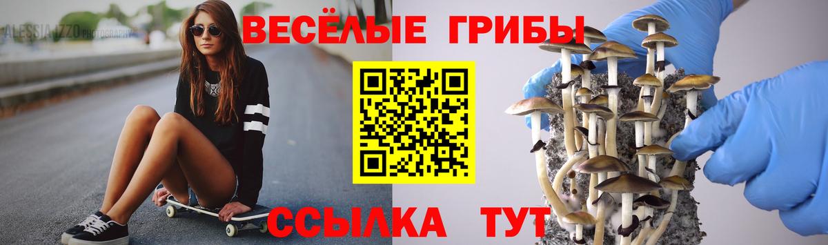 Уссурийск  Псилоцибиновые грибы ЛСД  Вход с VPN 